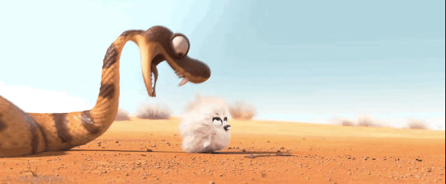 1620872115697205.gif 微信圖片_4.gif